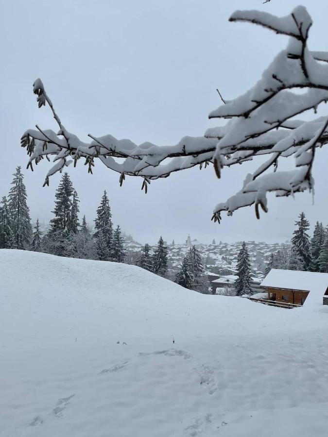 3,5 Direkt An Ski- Und Bikepiste Appartement *